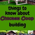 Simple chicken house plans