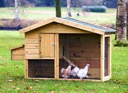 Chicken Coops