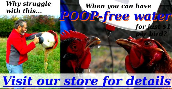 Why struggle with dirty water when you can have POOP-free water for just $1 per bird? Visit our store for details.