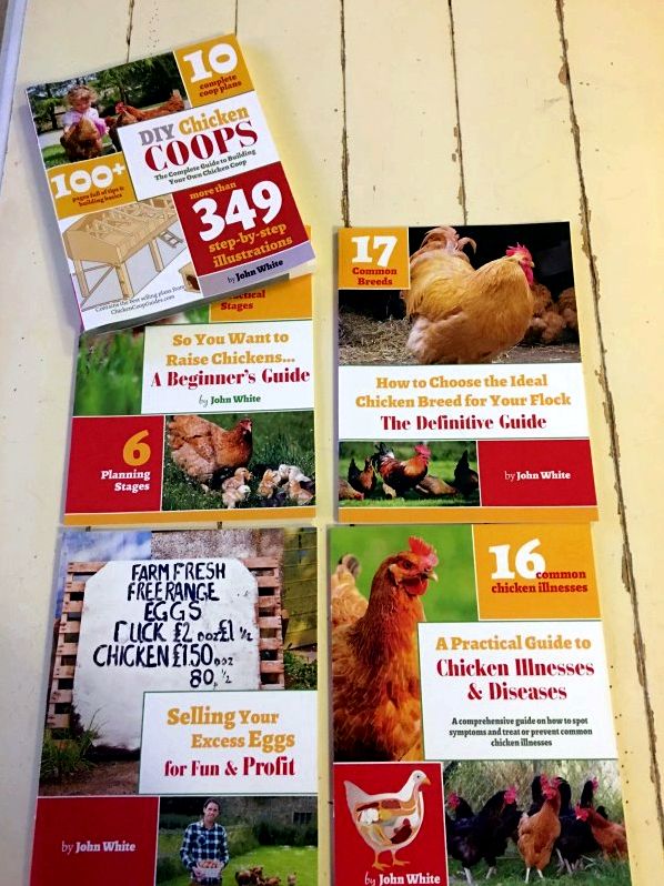 DIY Chicken Coop Plans