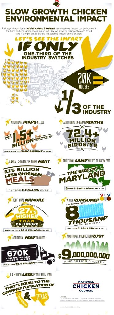 National chicken council announces new sources on broiler welfare published on