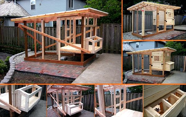 10+ diy backyard chicken house plans and tutorial Do as instructed carefully,  and
