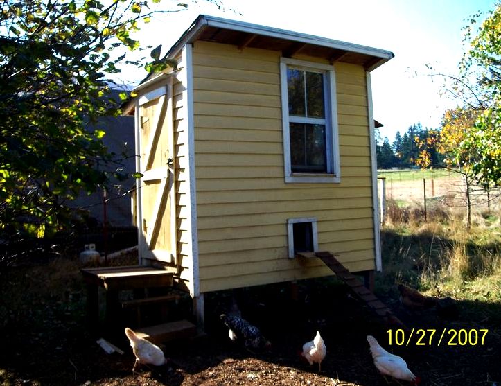 double story chicken coop