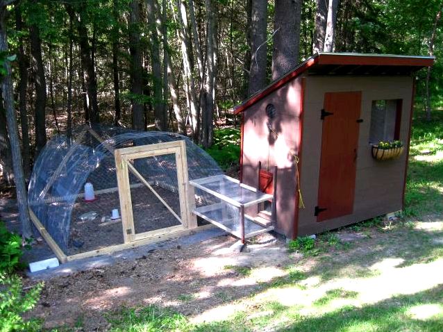 urban chicken coop