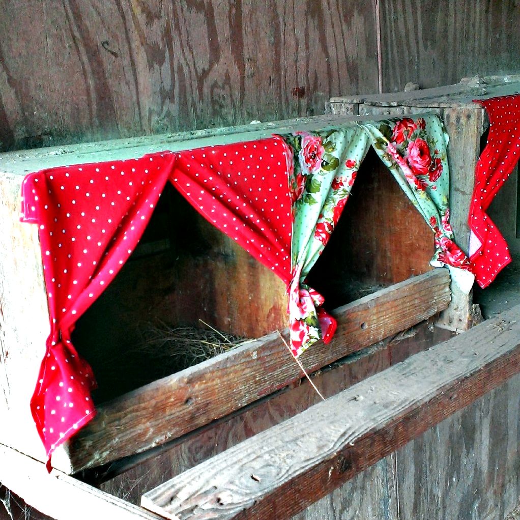 Chicken Coop Hacks