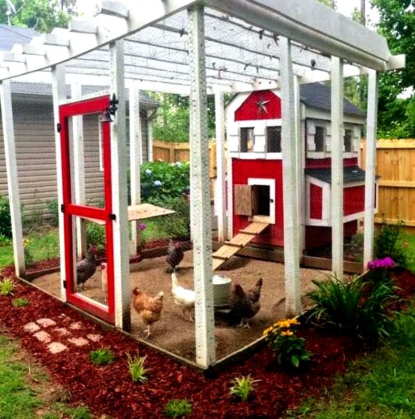 Backyard chicken house designs - how can you choose? become portable in order