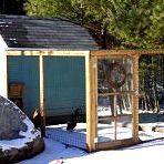 A-frame chicken coop plans