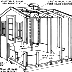 large chicken coop plans