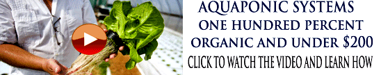 720X90_AQUAPONICS__5