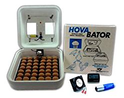 HovaBator Deluxe Egg Incubator Combo 