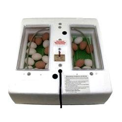 Circulated Air Incubator