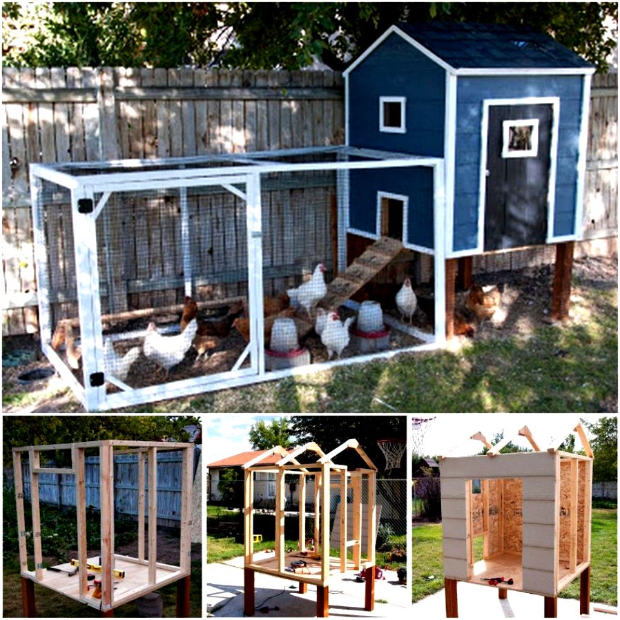 Construct your own chicken house - a tale of chickens - stuff here
