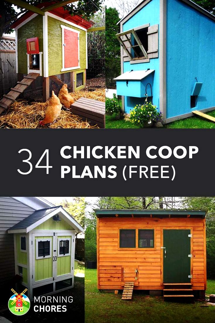 Construct your own chicken house - a tale of chickens - added flower beds round