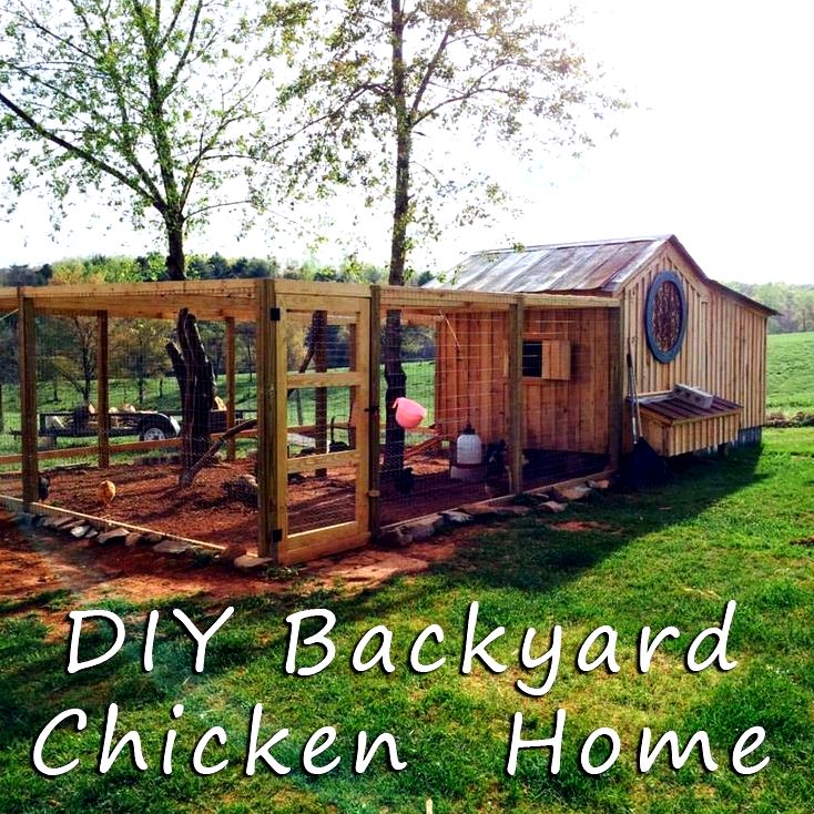 Construct your own chicken house - a tale of chickens - In either