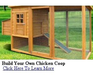 build a chicken coop