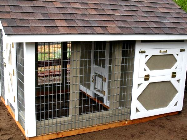 Add home windows for your chicken house for air conditioning - hobby farms poor chickens did prior