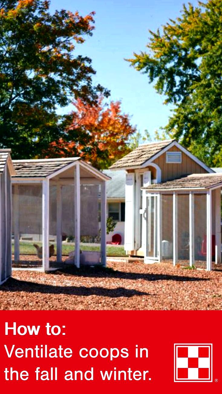 Add home windows for your chicken house for air conditioning - hobby farms By doing this, rain