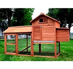 best chicken coop reviews