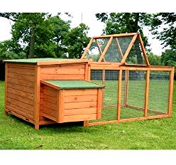 Best Chicken Coop Reviews