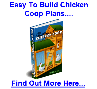 building a chicken coop