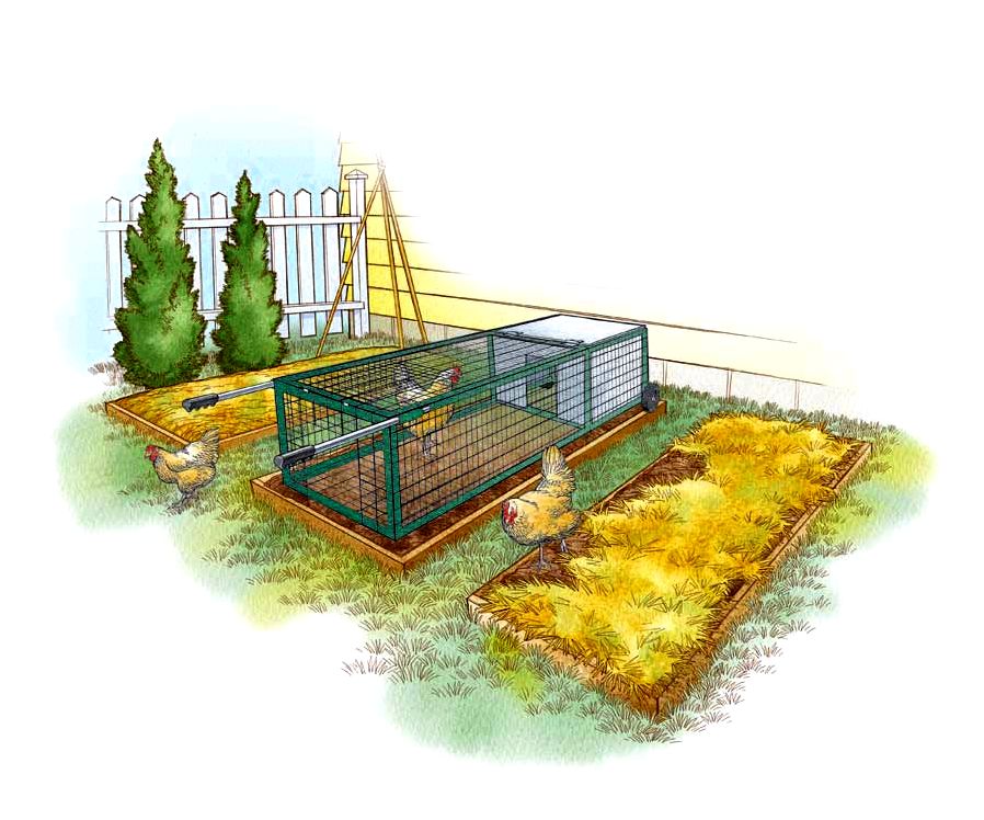 Mobile Chicken Coop