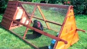 A-frame chicken coop