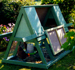 Chicken Coop