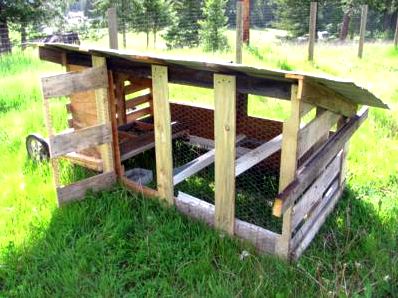 Chicken coop front