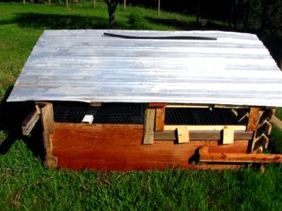 Chicken Coop rear