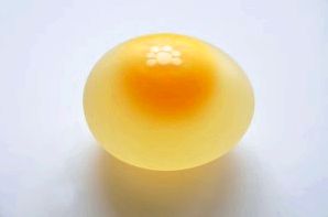 How come a chicken lay an egg with no shell?