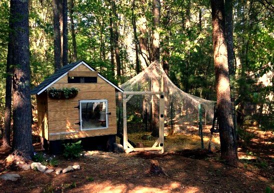 DIY Chicken coop designs recycled wood pallets