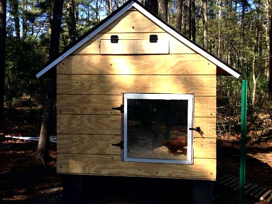 chicken coop door