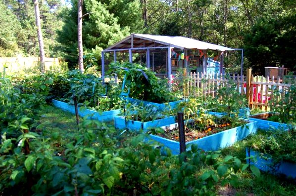 photo tour of our chicken coop