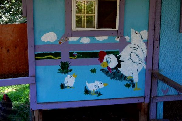 Photo Tour of our Chicken Coop