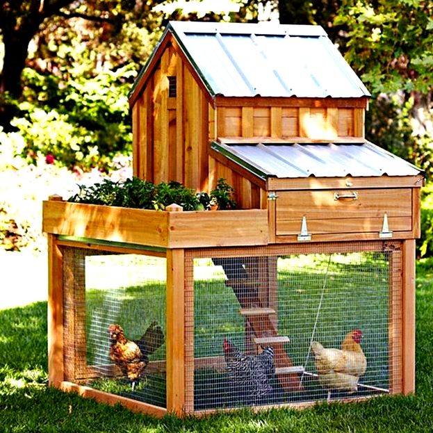 Steps to make chicken house warmer – 4 hardware us – medium utilization of