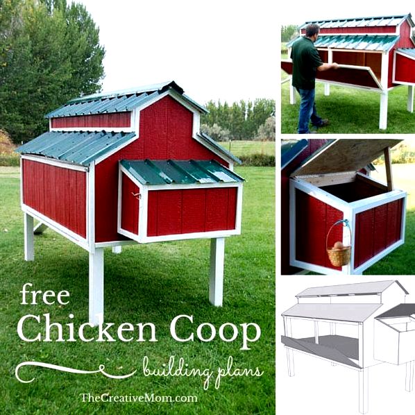 cute chicken coop