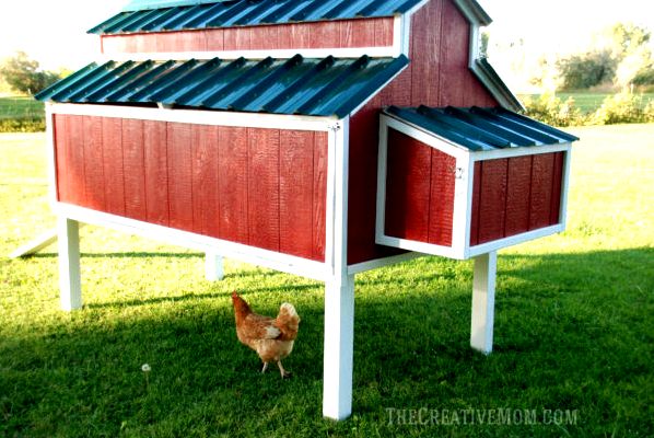 DIY Chicken Coop Building Plans