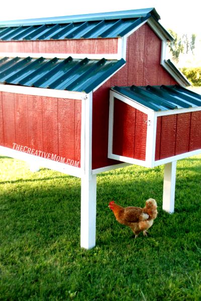 DIY Chicken Coop Building Plans