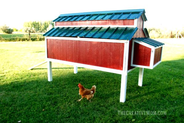 DIY Chicken Coop Building Plans