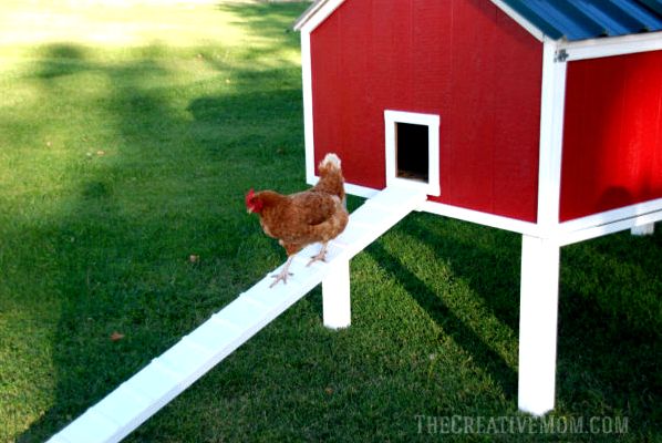 DIY Chicken Coop Building Plans