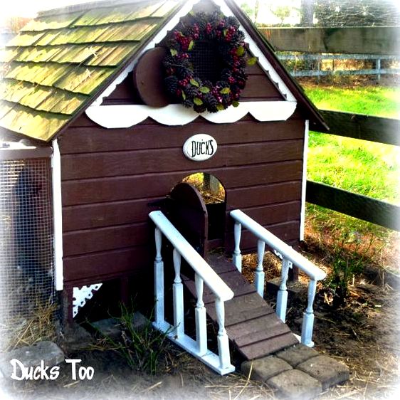 Gingerbread duck house plans pdf room in coop for approximately 6 using HINGED ROOF