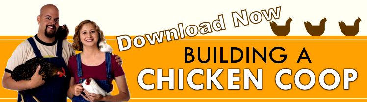 DIY Chicken Coop Plans - How To Build A Chicken Coop