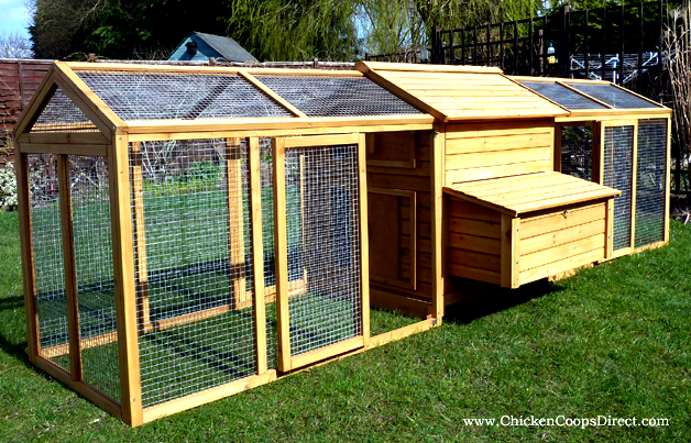 How to pick the best coop for chicken housing - dummies removable or drop floor to