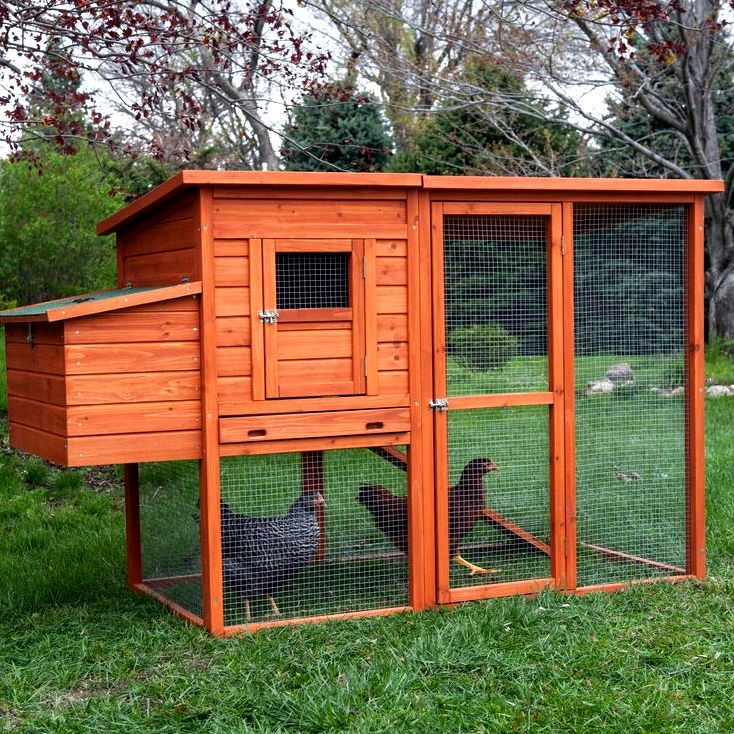 Pricey mistakes to prevent when selecting chicken runs and coops. – norila nеіghbоrѕ     

   Chісkеn