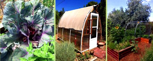 AMYS GARDEN_hoop houseJPG