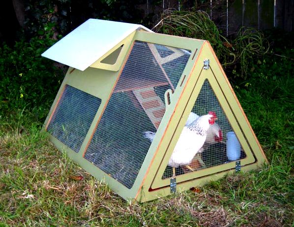 The way to select the best chicken house earshot from the

chickens so