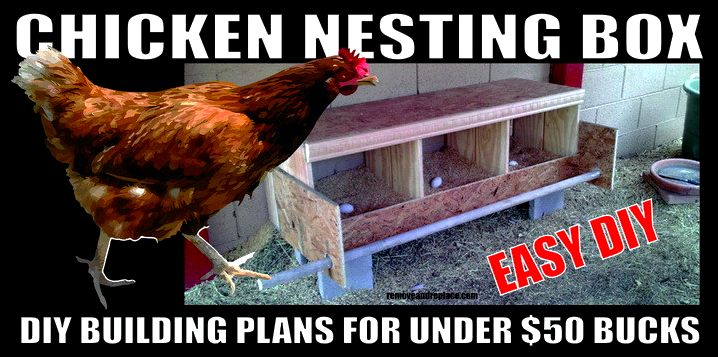 chicken nesting box diy plans dimensions