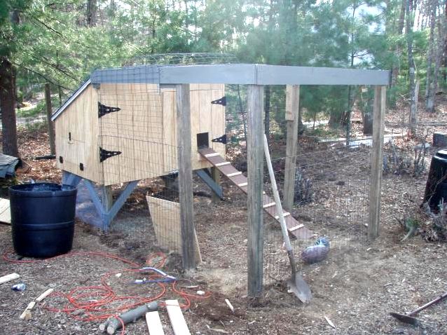How you can predator proof a chicken house Predators that fly or climb