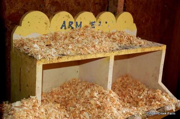 how-to-build-a-chicken-coop