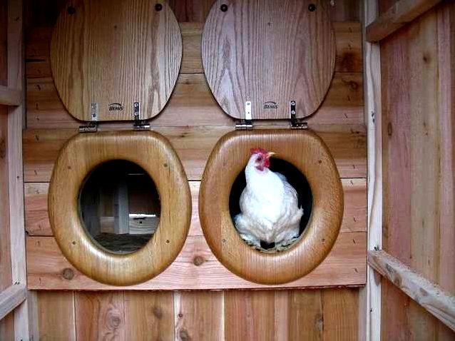 Top Ten chicken nesting boxes burlap within